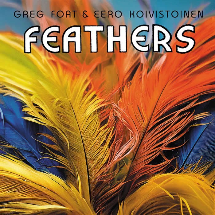 Feathers album cover